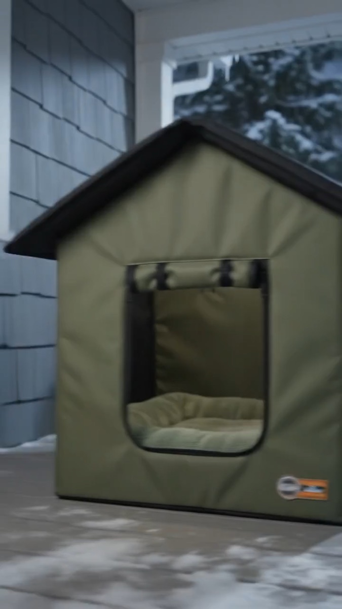 Cat house featured in the video